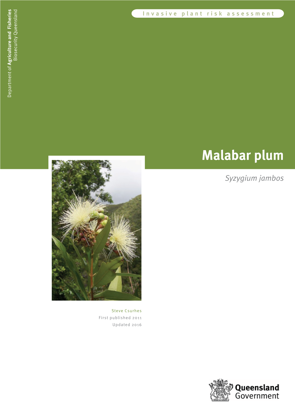 Malabar Plum (Syzygium Jambos) Is a Shrub Native to South-East Asia