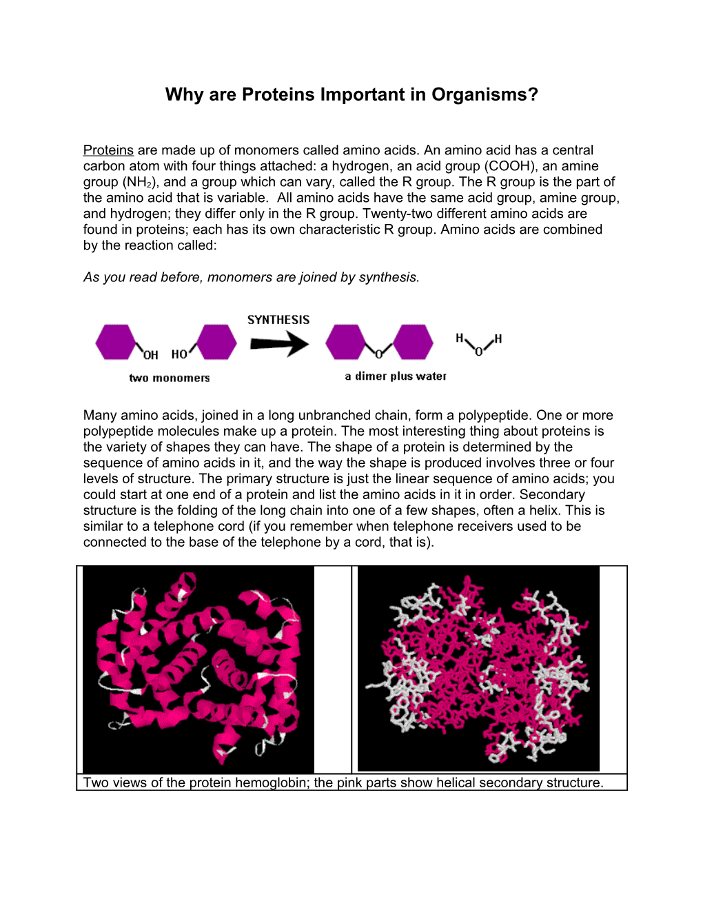 Why Are Proteins Important in Organisms