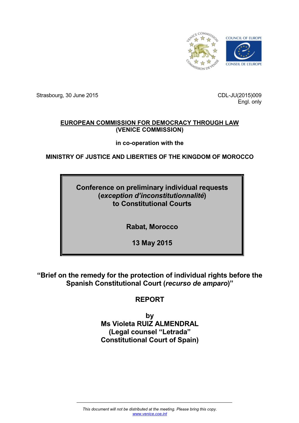 Brief on the Remedy for the Protection of Individual Rights Before the Spanish Constitutional Court (Recurso De Amparo)”