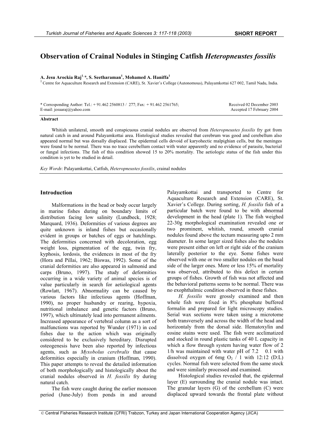 Observation of Crainal Nodules in Stinging Catfish Heteropneustes Fossilis