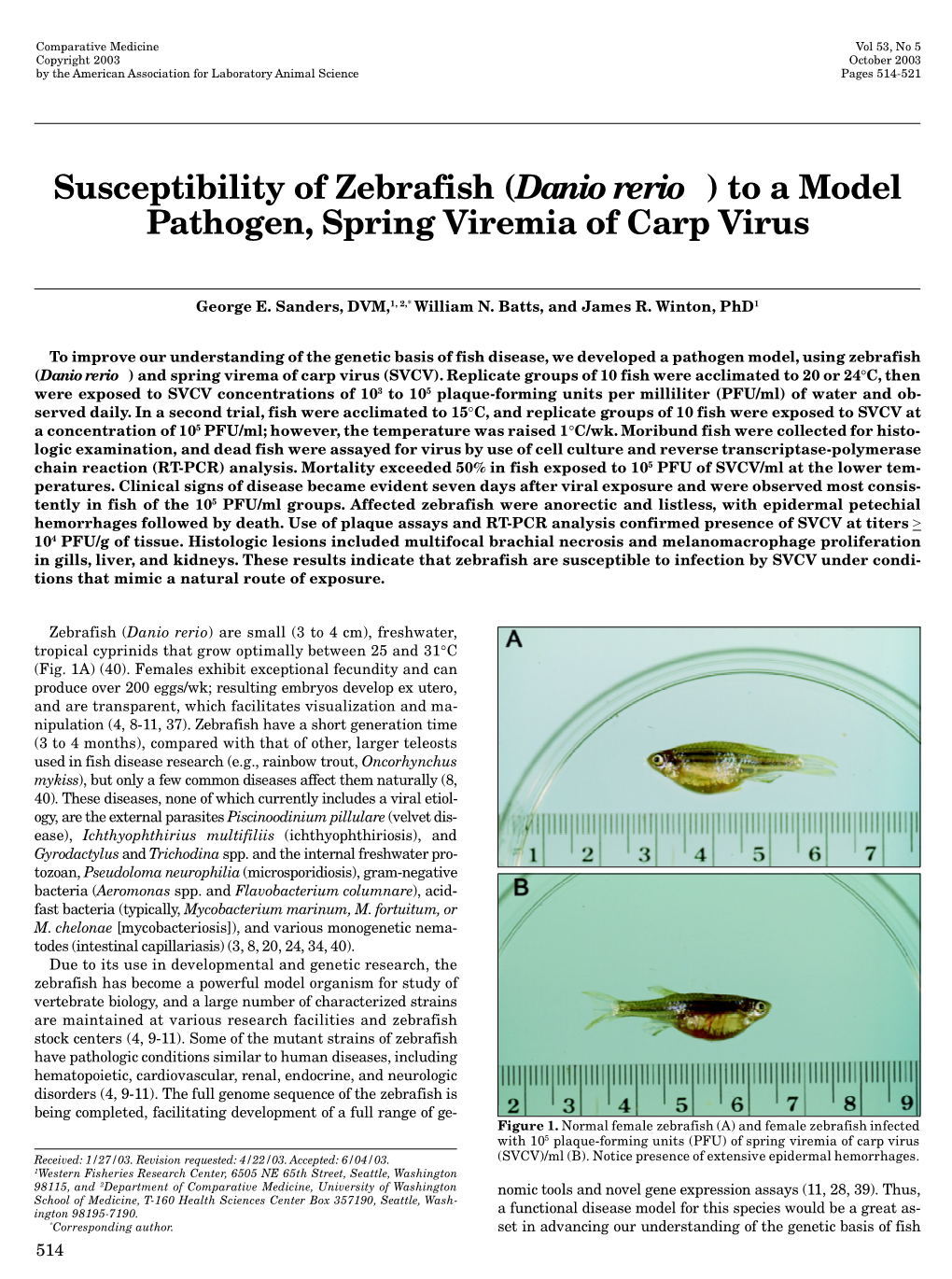 To a Model Pathogen, Spring Viremia of Carp Virus