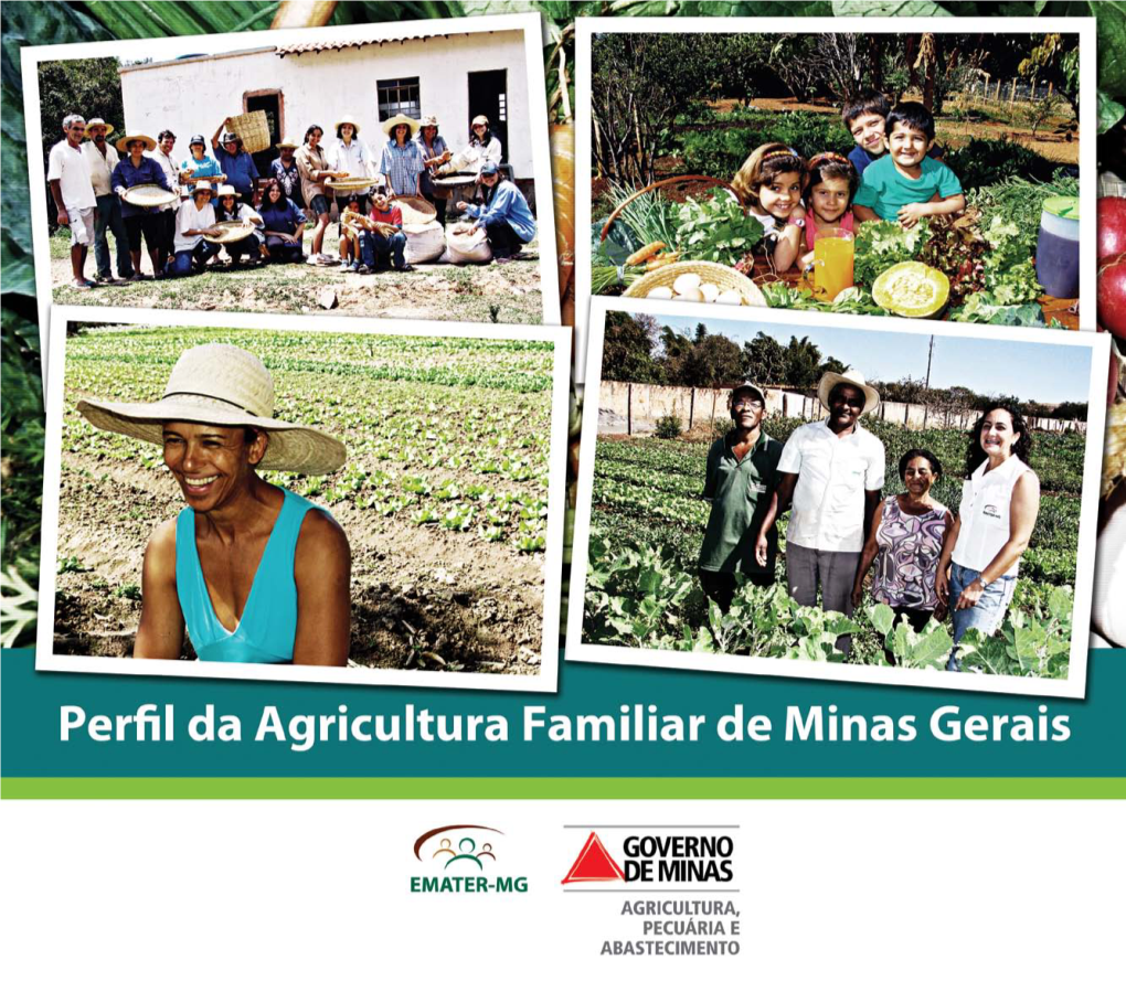 Agricultura Familiar Em Minas Gerais