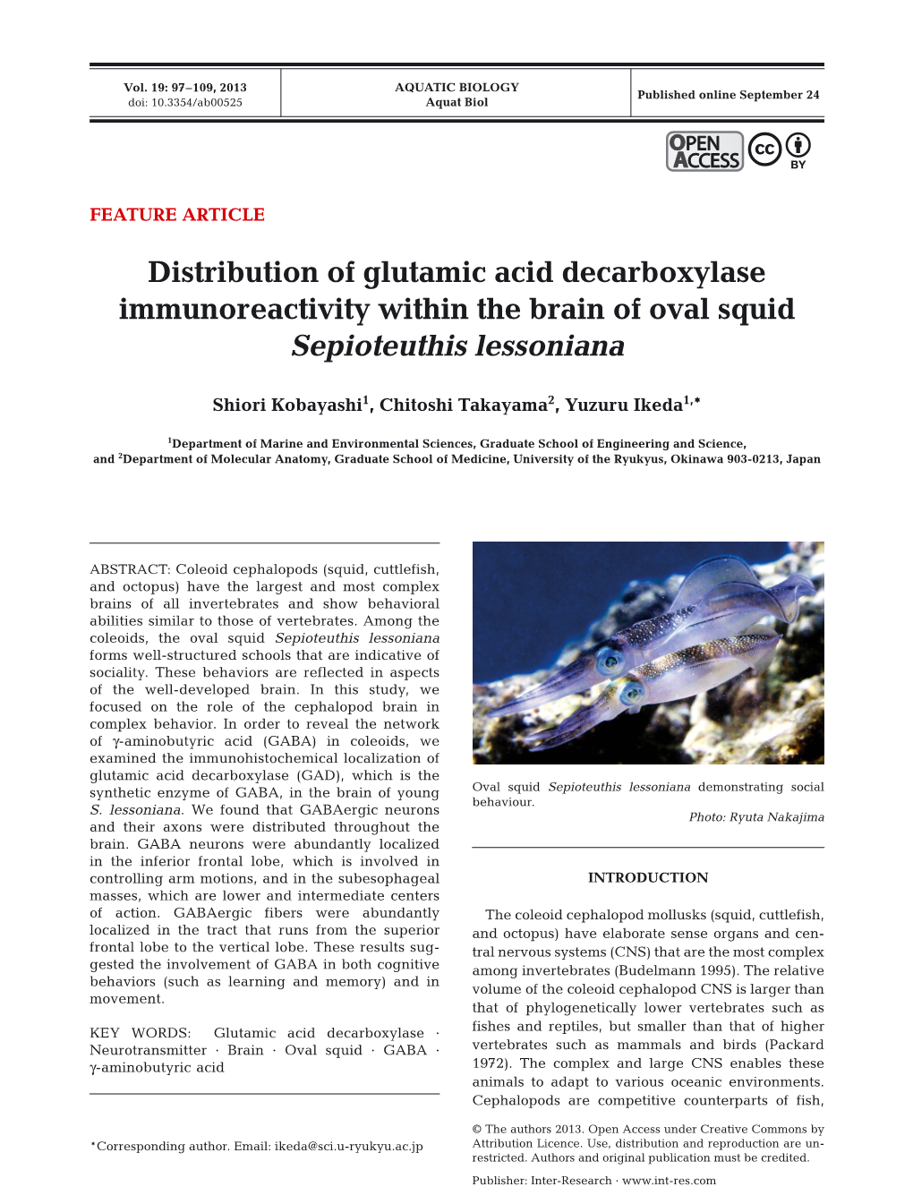 Distribution of Glutamic Acid Decarboxylase Immunoreactivity Within the Brain of Oval Squid Sepioteuthis Lessoniana