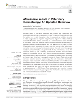 Malassezia Yeasts in Veterinary Dermatology: an Updated Overview