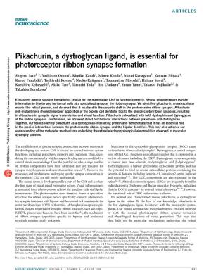 Pikachurin, a Dystroglycan Ligand, Is Essential for Photoreceptor Ribbon Synapse Formation