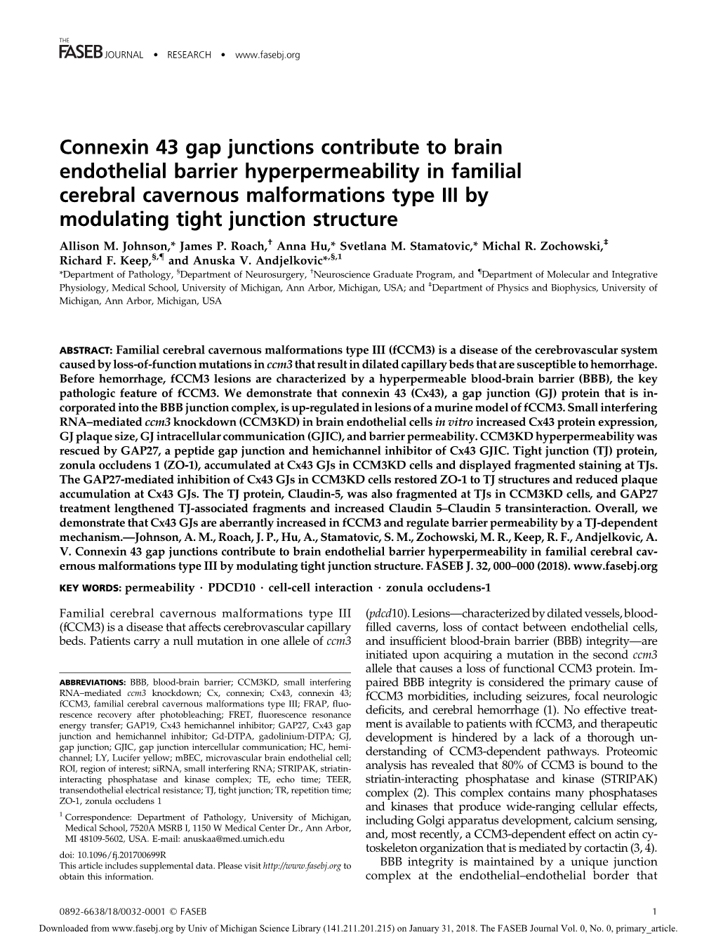 Connexin 43 Gap Junctions Contribute to Brain Endothelial Barrier