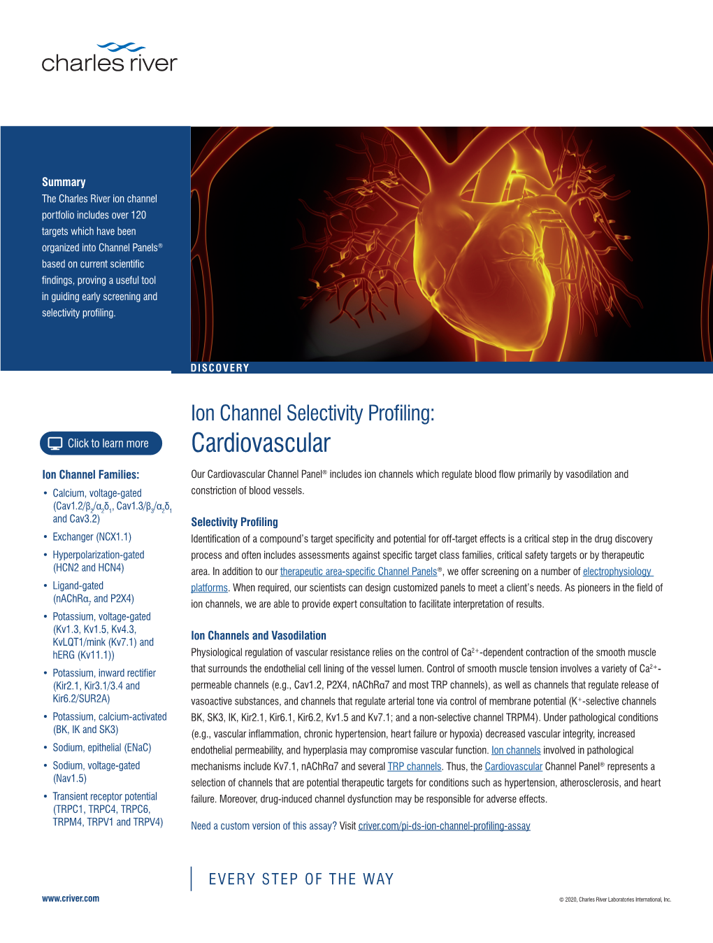 Ion Channel Selectivity Profiling: Click to Learn More Cardiovascular