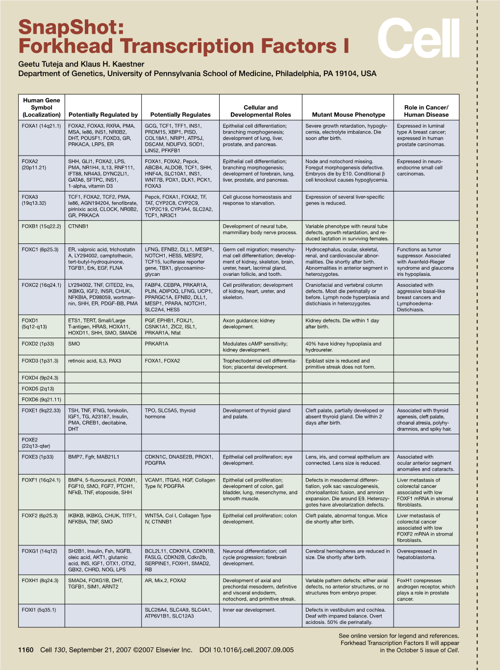 Snapshot: Forkhead Transcription Factors I Geetu Tuteja and Klaus H