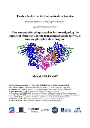 New Computational Approaches for Investigating the Impact of Mutations on the Transglucosylation Activity of Sucrose Phosphorylase Enzyme