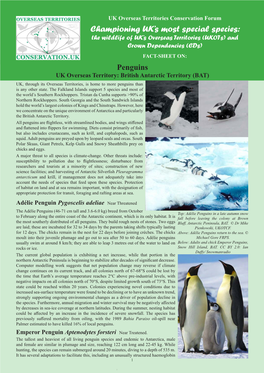 Penguins UK Overseas Territory: British Antarctic Territory (BAT) UK, Through Its Overseas Territories, Is Home to More Penguins Than Is Any Other State