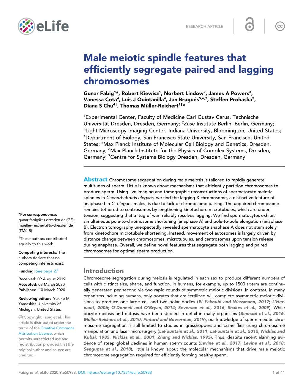 Male Meiotic Spindle Features That Efficiently Segregate Paired and Lagging Chromosomes