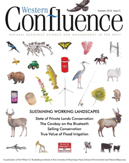 Confluence 06 Web.Pdf