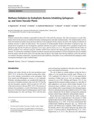 Methane Oxidation by Endophytic Bacteria Inhabiting Sphagnum Sp