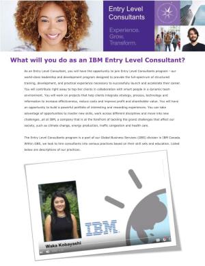 What Will You Do As an IBM Entry Level Consultant?
