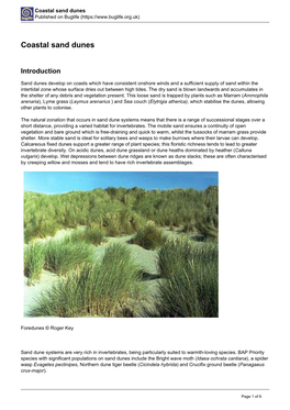 Coastal Sand Dunes Published on Buglife (