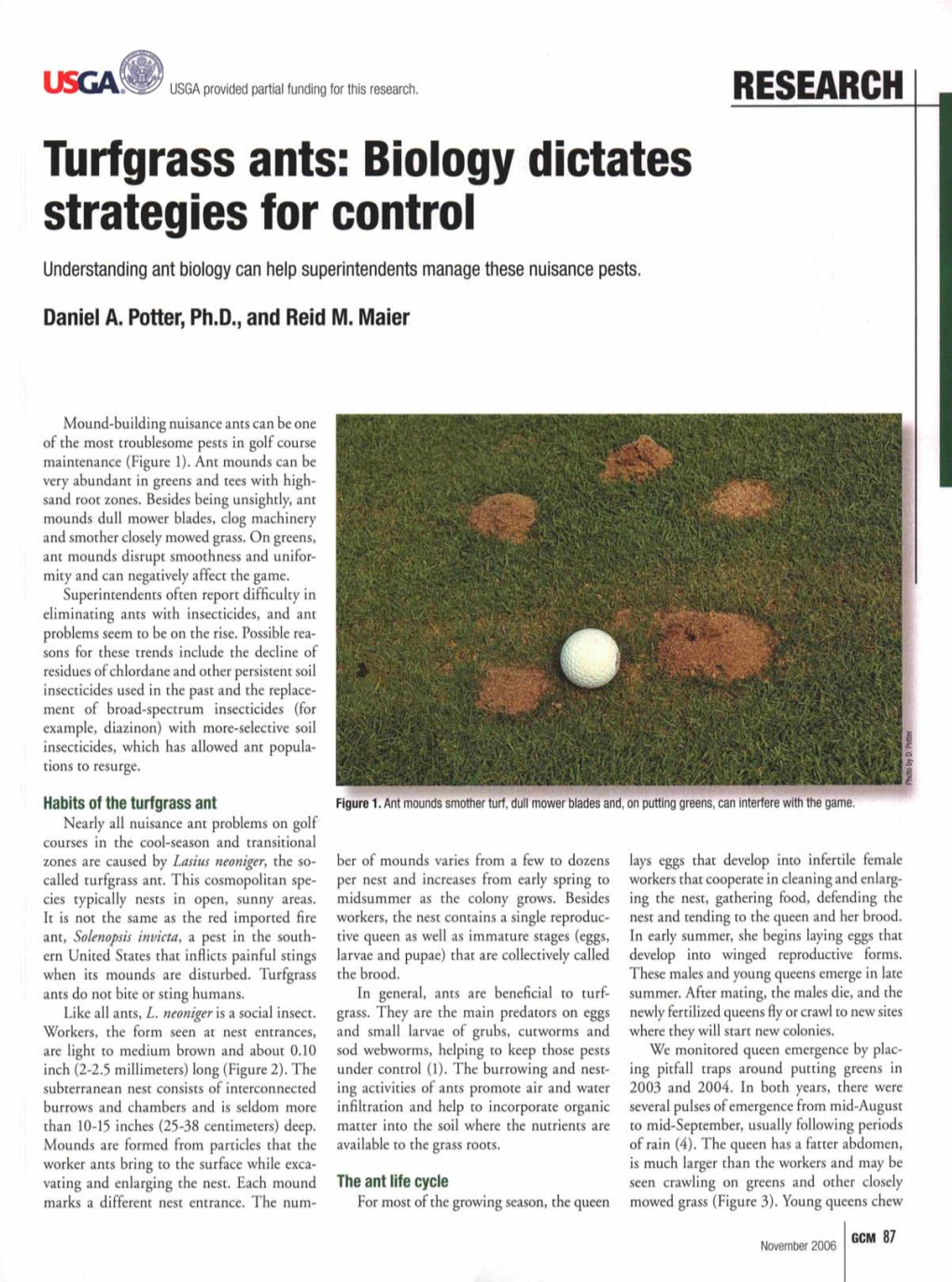 Turfgrass Ants: Biology Dictates Strategies for Control