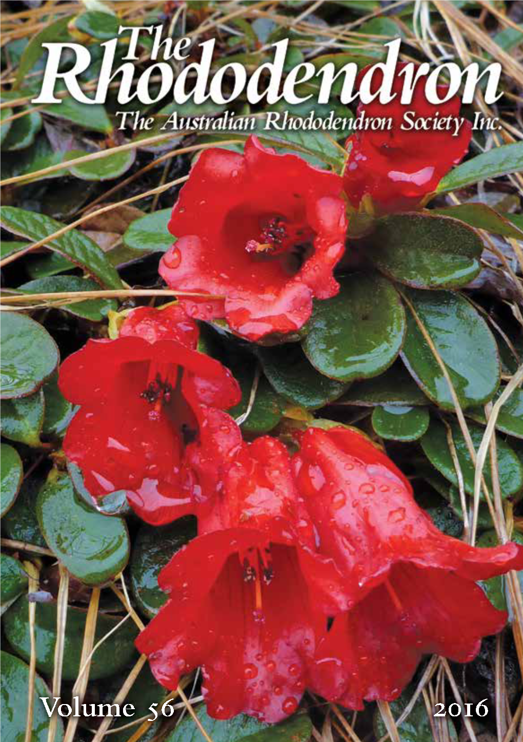 The Rhododendron, the Journal of the Australian Rhododendron Society Inc., Is Published Annually by the Society