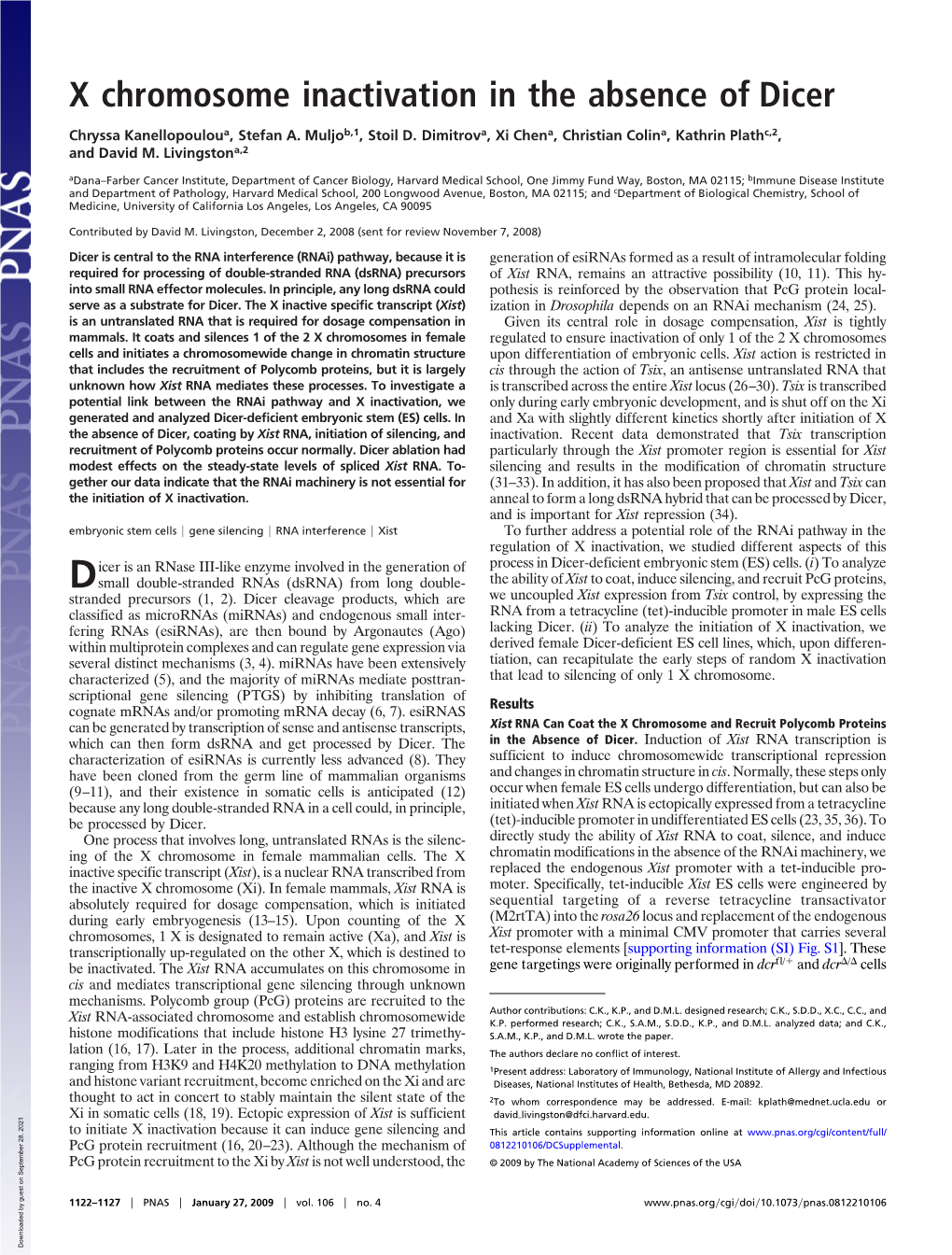 X Chromosome Inactivation in the Absence of Dicer