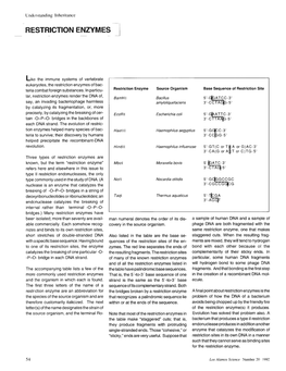Restriction Enzymes of Bac- Base Teria Combat Foreign Substances