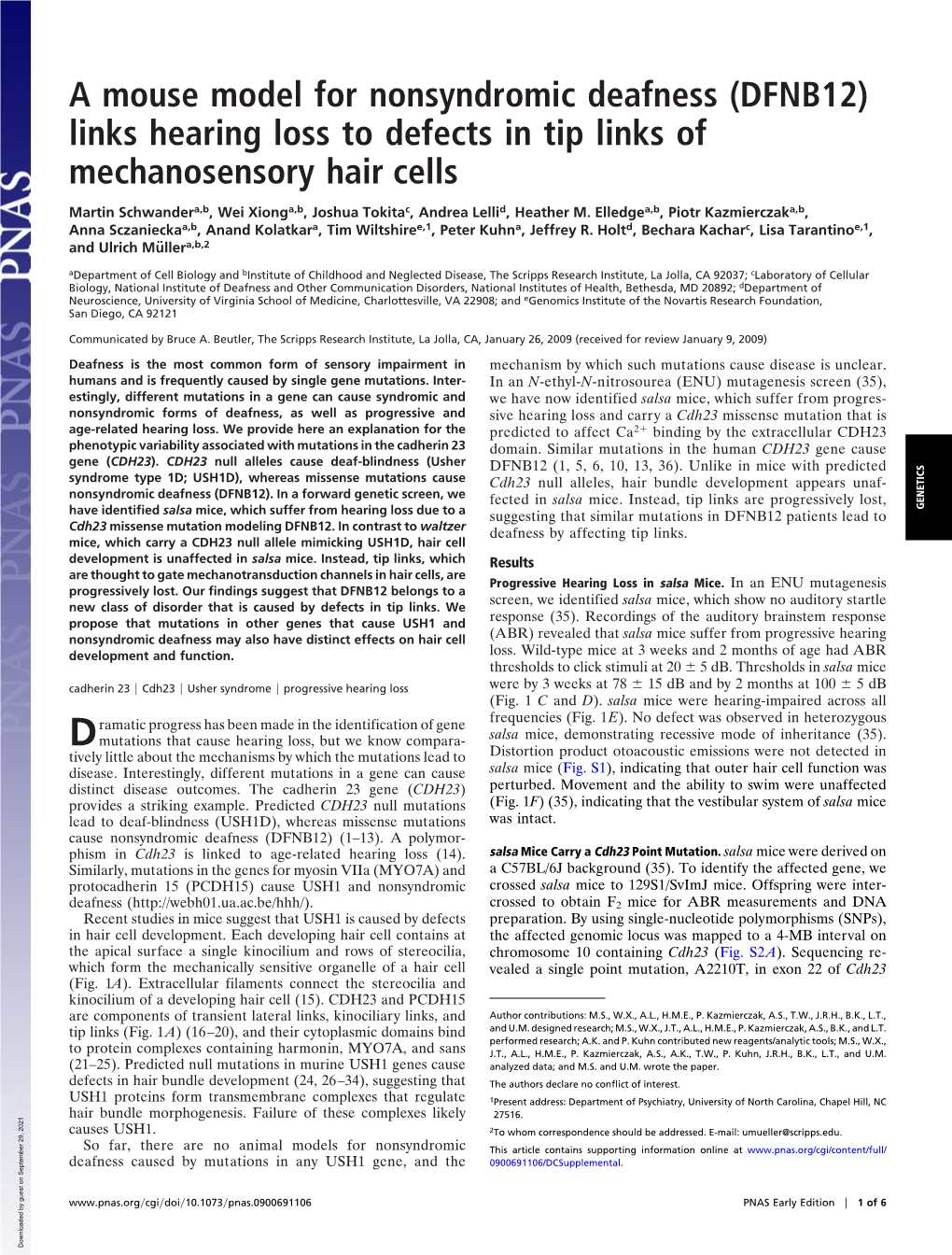 A Mouse Model for Nonsyndromic Deafness (DFNB12) Links Hearing Loss to Defects in Tip Links of Mechanosensory Hair Cells
