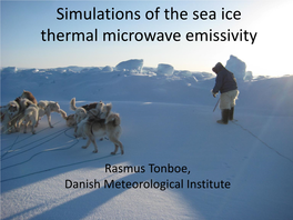 Simulations of the Sea Ice Thermal Microwave Emissivity