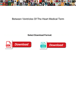 Between Ventricles of the Heart Medical Term