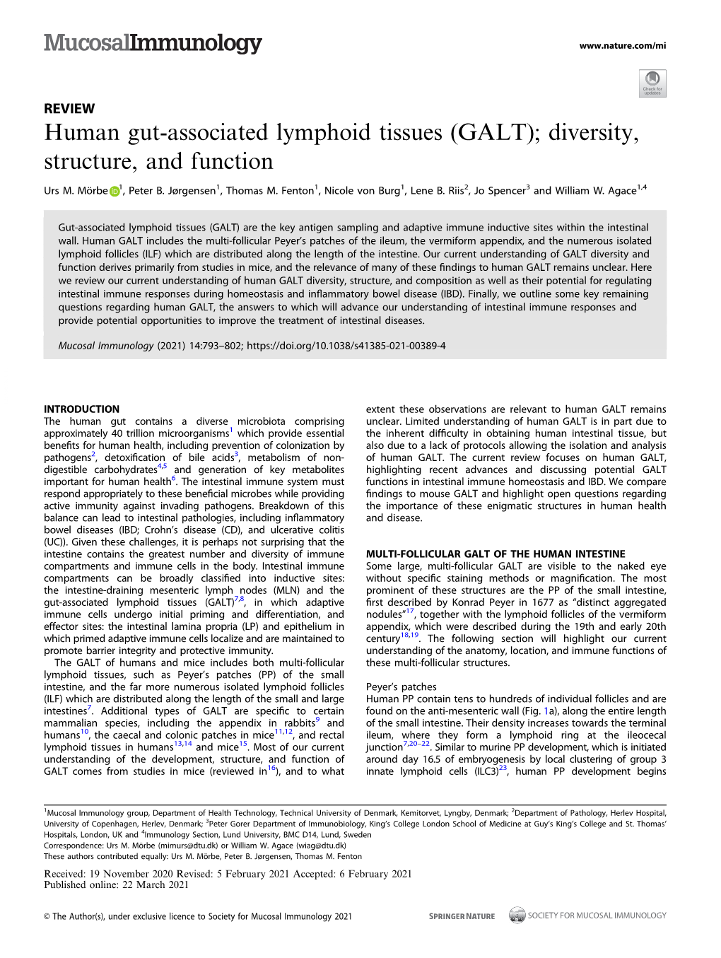 Human Gut-Associated Lymphoid Tissues (GALT); Diversity, Structure, and Function