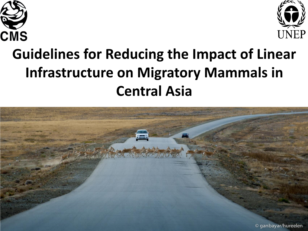 Guidelines for Reducing the Impact of Linear Infrastructure on Migratory Mammals in Central Asia CENTRAL ASIA and AFFECTED MIGRATORY SPECIES Central Asia