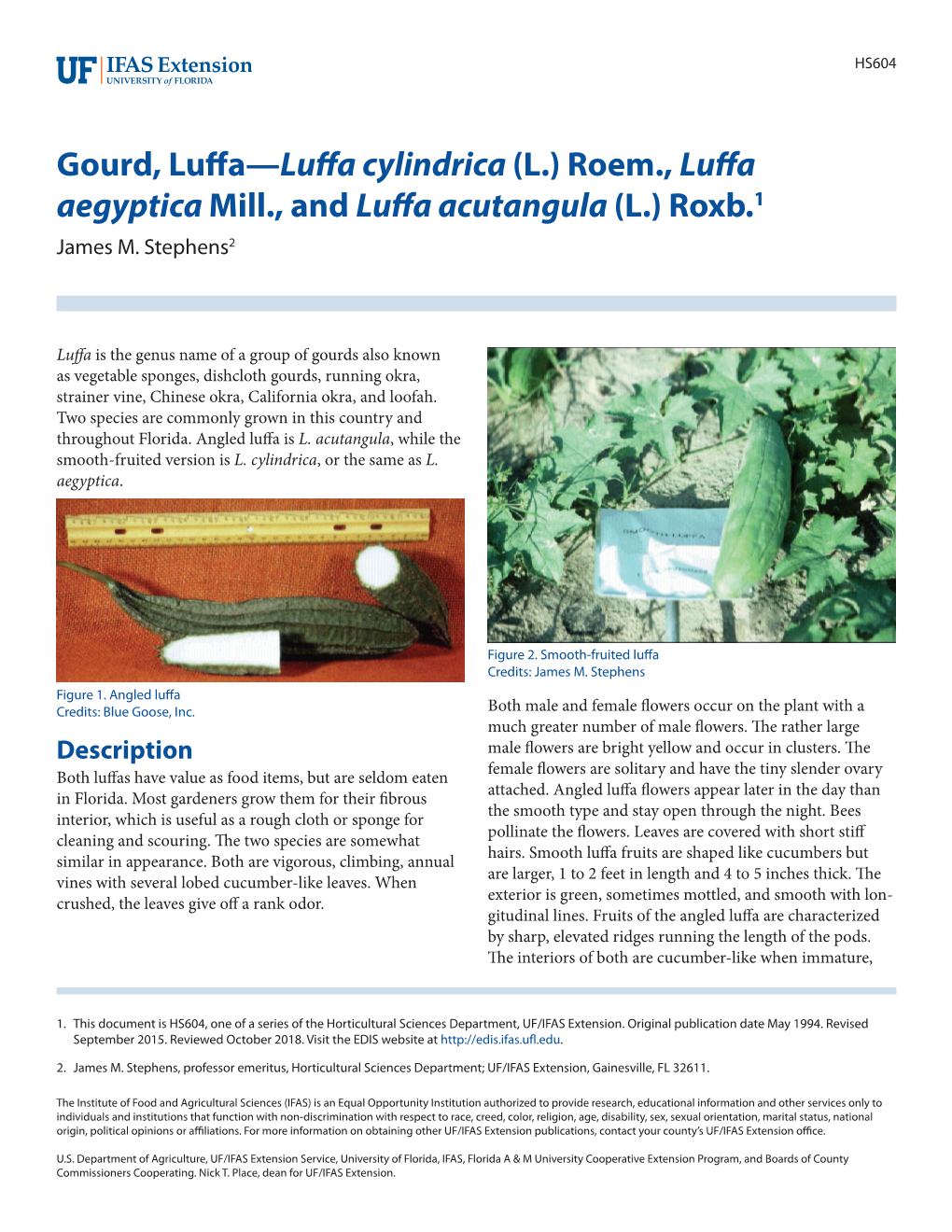 Gourd, Luffa—Luffa Cylindrica(L.) Roem., Luffa Aegyptica Mill., and Luffa Acutangula (L.) Roxb.1 James M