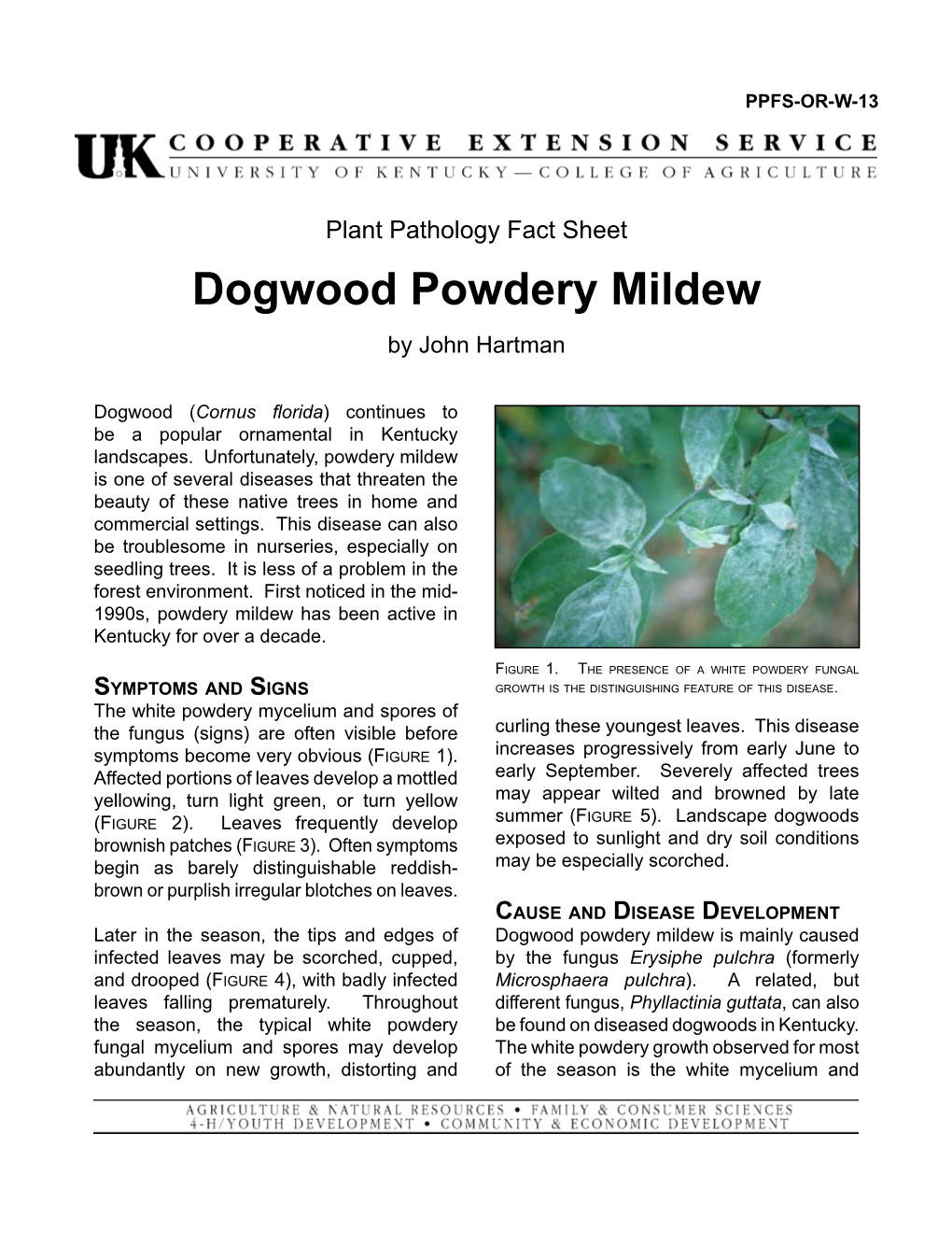 Dogwood Powdery Mildew by John Hartman