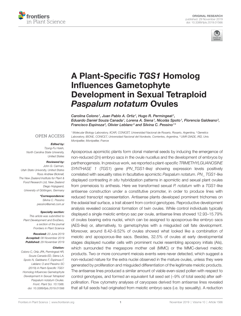 A Plant-Specific TGS1 Homolog Influences Gametophyte Development in Sexual Tetraploid Paspalum Notatum Ovules