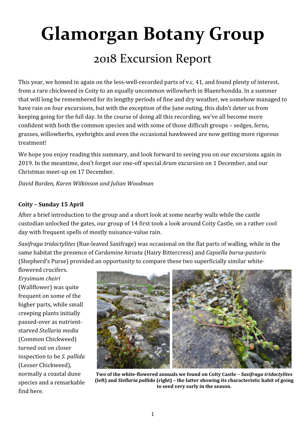 Glamorgan Botany Group 2018 Excursion Report