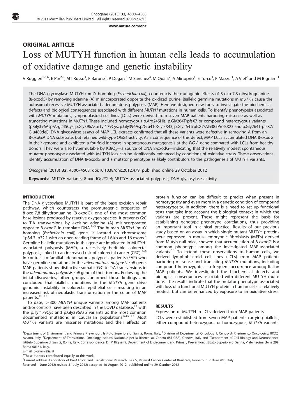 Loss of MUTYH Function in Human Cells Leads to Accumulation of Oxidative Damage and Genetic Instability