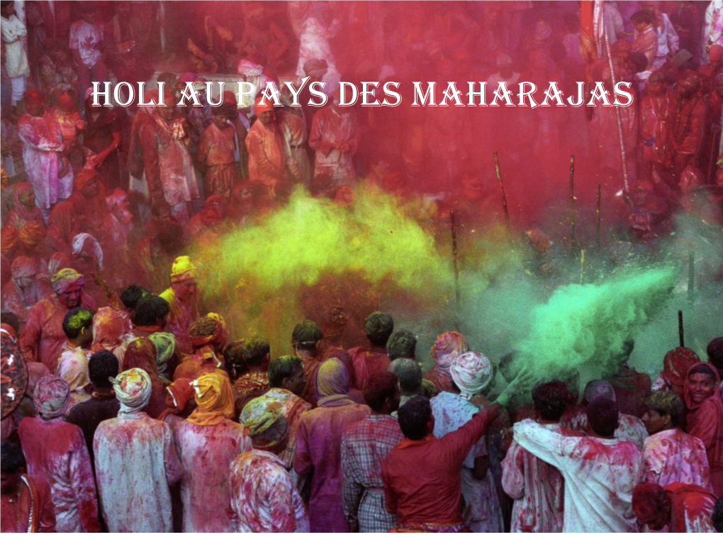 Holi Au Pays Des Maharajas