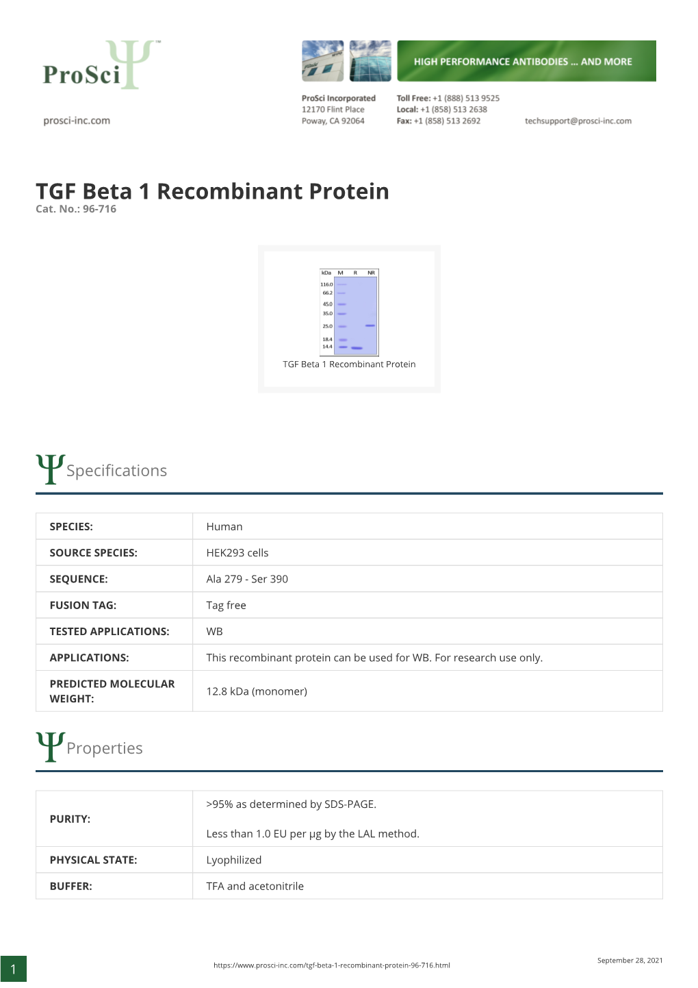 TGF Beta 1 Recombinant Protein Cat