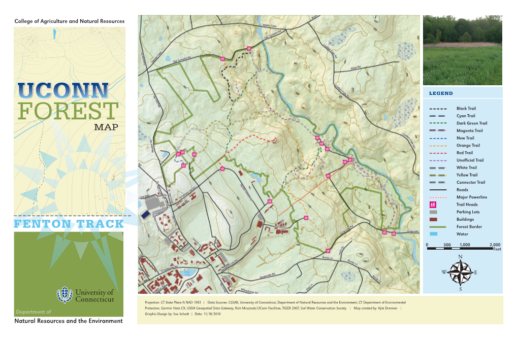 Uconn Forest: Fenton Tract