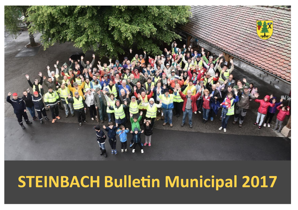 Steinbachbulletin Municipal 2017