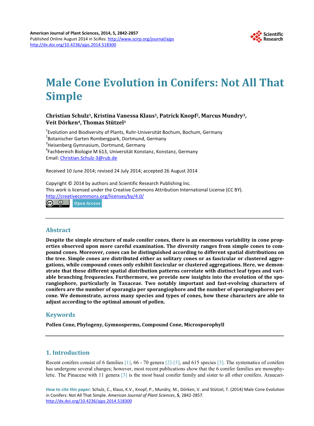 Male Cone Evolution in Conifers: Not All That Simple