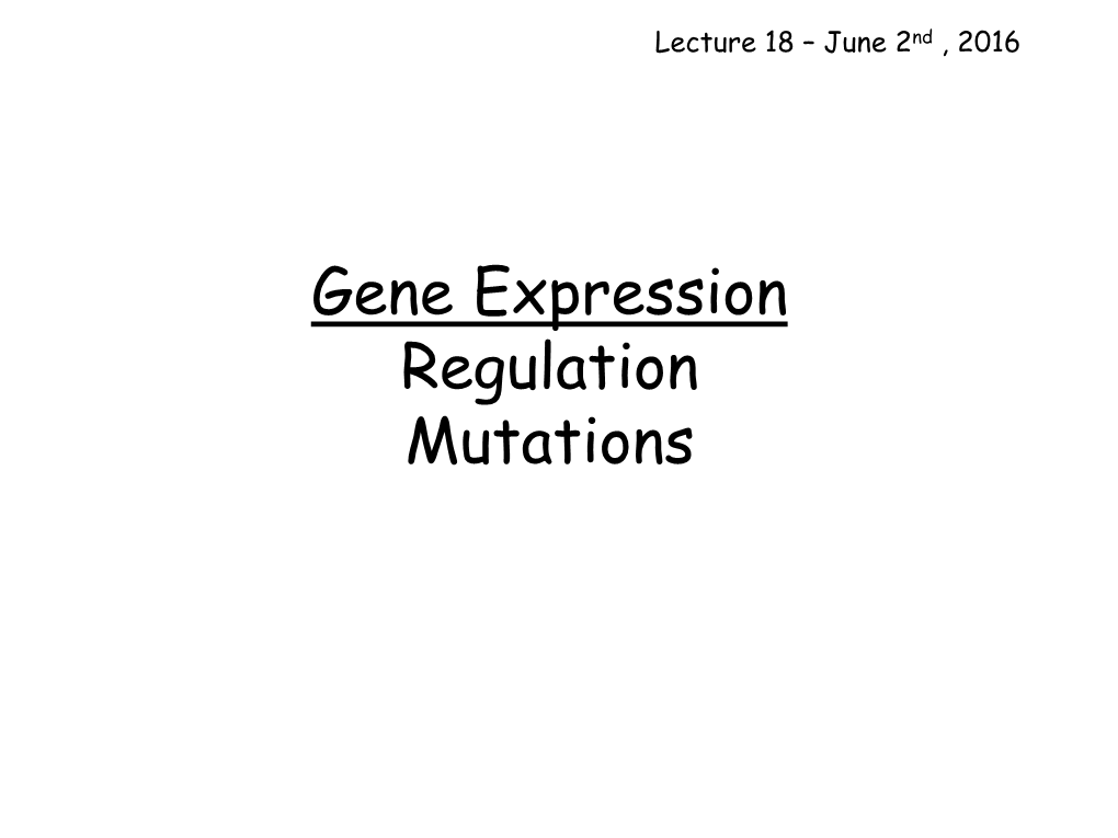 Gene Expression Regulation Mutations from Gene to Protein