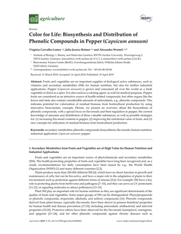 Color for Life: Biosynthesis and Distribution of Phenolic Compounds in Pepper (Capsicum Annuum)