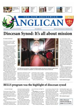 Diocesan Synod: It’S All About Mission