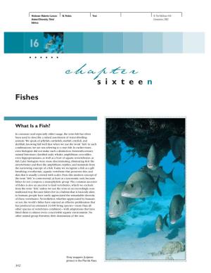 Chapter Sixteen Fishes