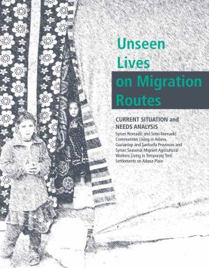 Unseen Lives on Migration Routes