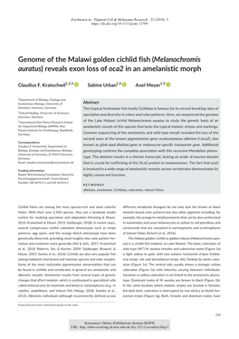 Genome of the Malawi Golden Cichlid Fish (Melanochromis Auratus) Reveals Exon Loss of Oca2 in an Amelanistic Morph