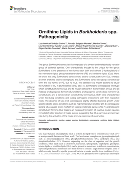 Ornithine Lipids in Burkholderia Spp. Pathogenicity