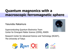 Quantum Magnonics with a Macroscopic Ferromagnetic Sphere