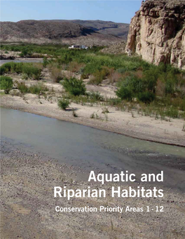 Aquatic and Riparian Habitats: Rio Grande
