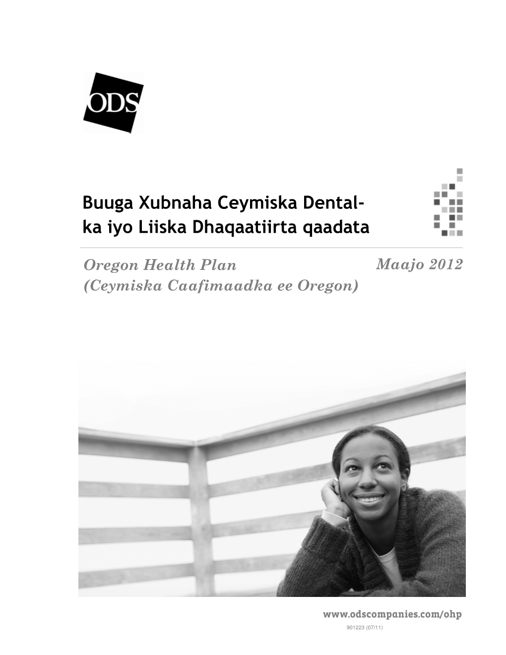 Buuga Xubnaha Ceymiska Dental- Ka Iyo Liiska Dhaqaatiirta Qaadata