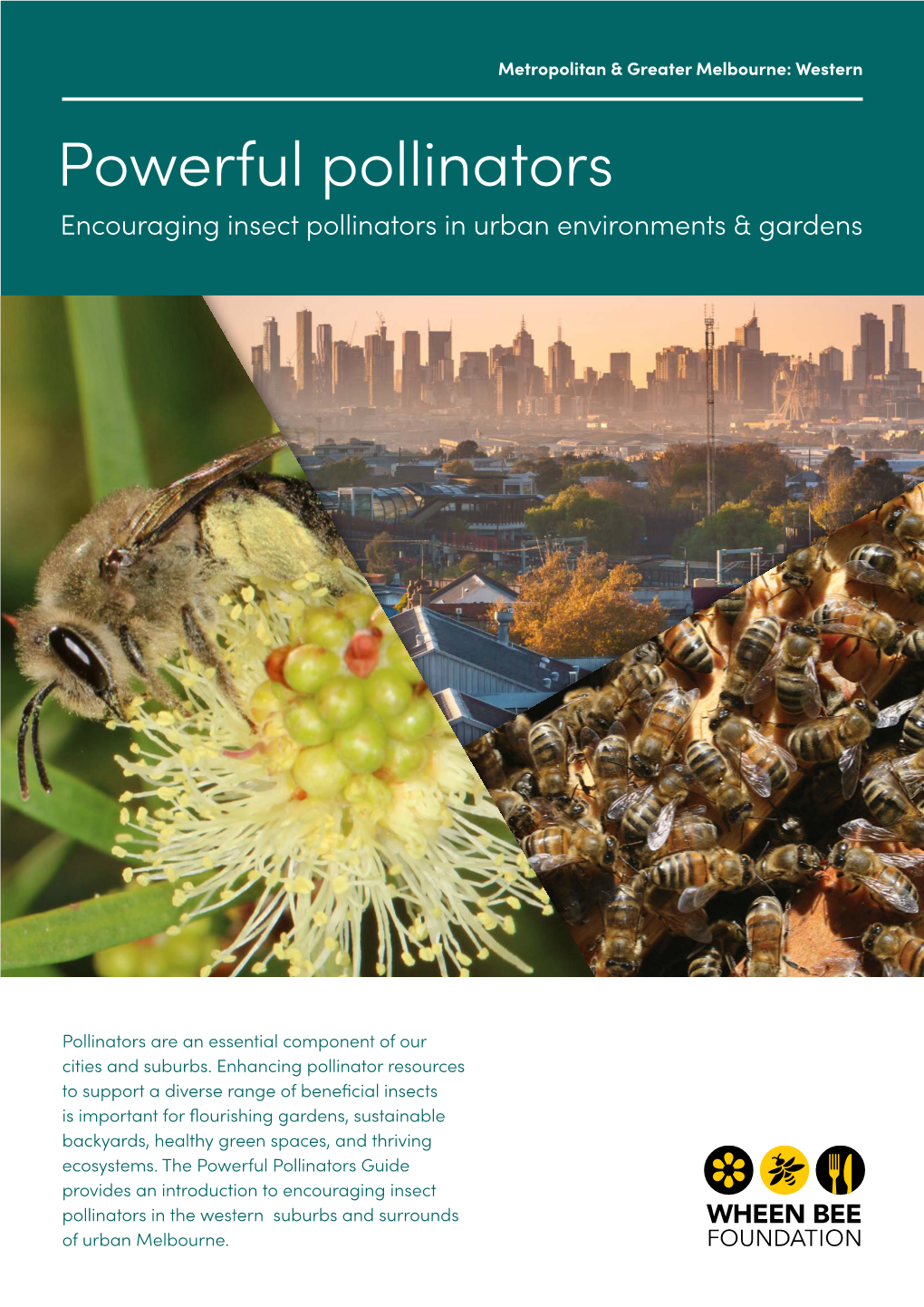 Powerful Pollinators Encouraging Insect Pollinators in Urban Environments & Gardens
