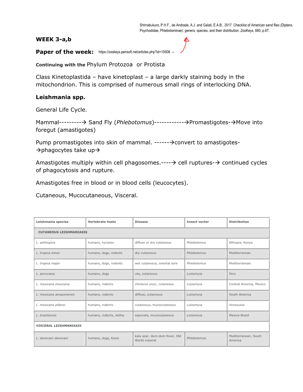 Lecture Notes from Week Number 4